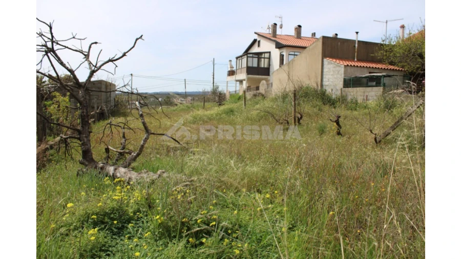 Terreno para Venda em Castelo Branco Foto 6