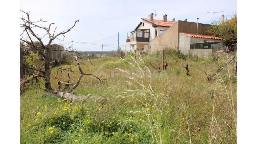 Terreno para Venda em Castelo Branco Foto 7