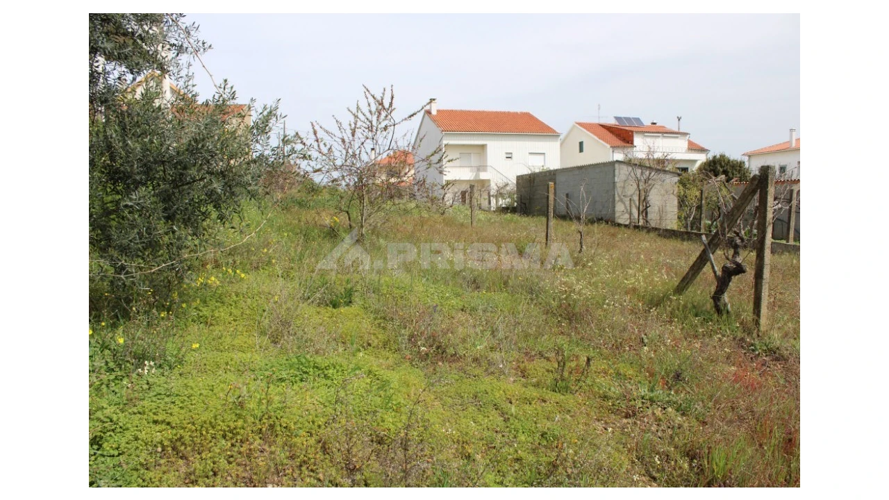Terreno para Venda em Castelo Branco Foto 8