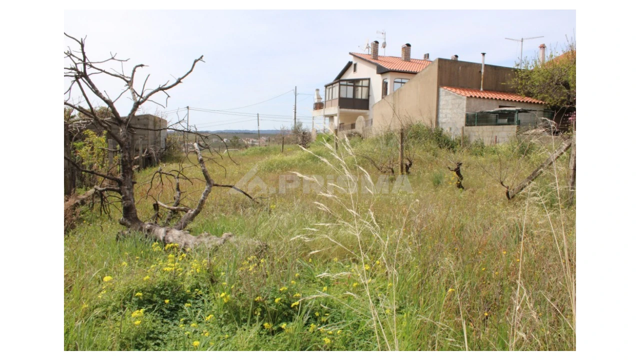 Terreno para Venda em Castelo Branco Foto 7