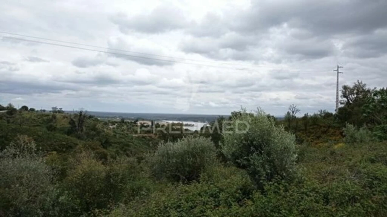 Quinta T2 para Venda em Montargil Foto 5