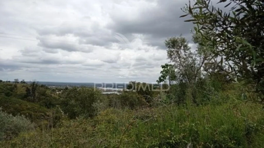 Quinta T2 para Venda em Montargil Foto 12