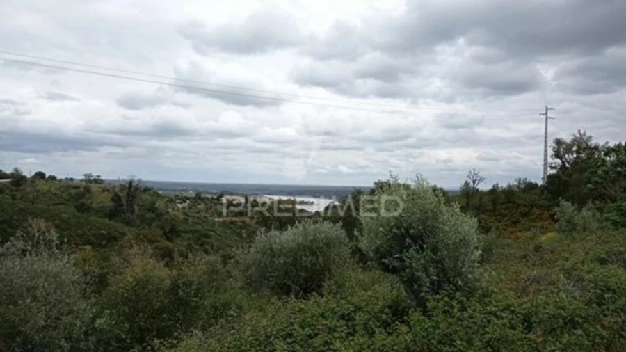 Quinta T2 para Venda em Montargil Foto 5