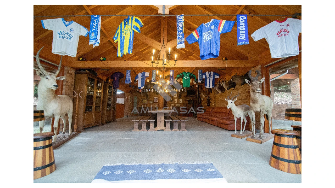 Quinta T11 para Venda em O. Azeméis, Riba-Ul, Ul, Macinhata Seixa, Madail Foto 47