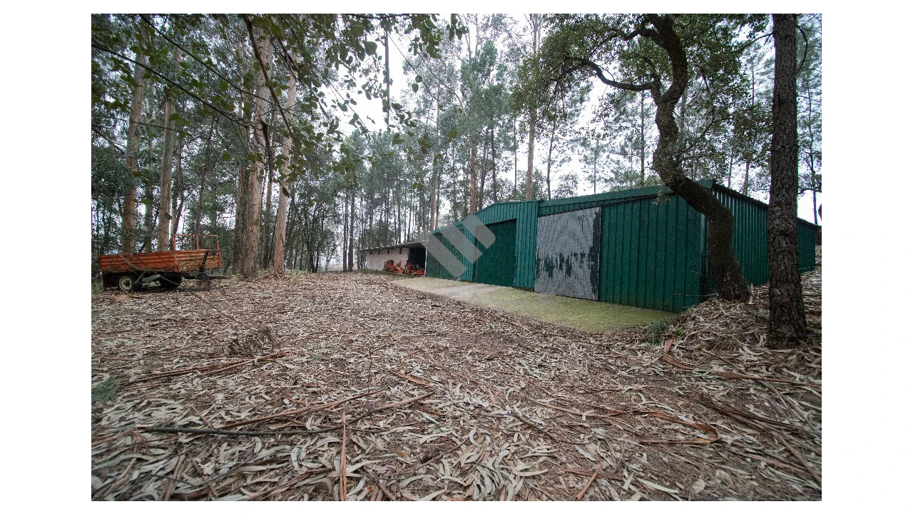 Quinta T11 para Venda em O. Azeméis, Riba-Ul, Ul, Macinhata Seixa, Madail Foto 91