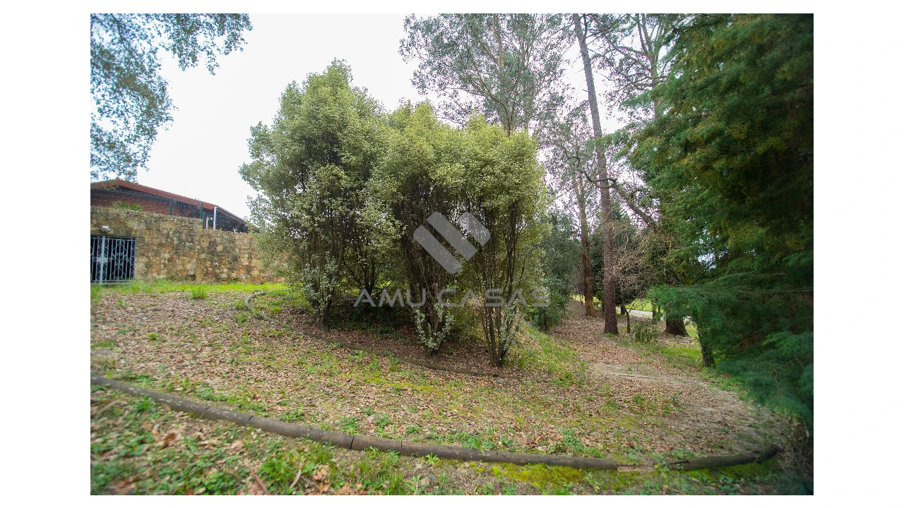 Quinta T11 para Venda em O. Azeméis, Riba-Ul, Ul, Macinhata Seixa, Madail Foto 27