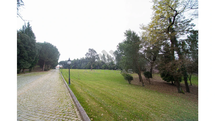 Quinta T11 para Venda em O. Azeméis, Riba-Ul, Ul, Macinhata Seixa, Madail Foto 41