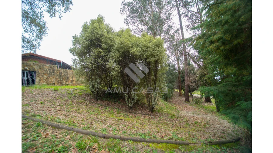 Quinta T11 para Venda em O. Azeméis, Riba-Ul, Ul, Macinhata Seixa, Madail Foto 27