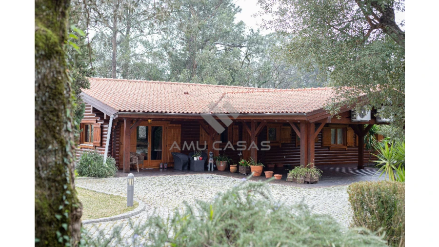 Quinta T11 para Venda em O. Azeméis, Riba-Ul, Ul, Macinhata Seixa, Madail Foto 2