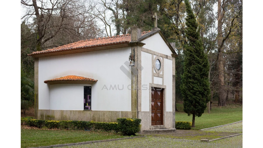 Quinta T11 para Venda em O. Azeméis, Riba-Ul, Ul, Macinhata Seixa, Madail Foto 35