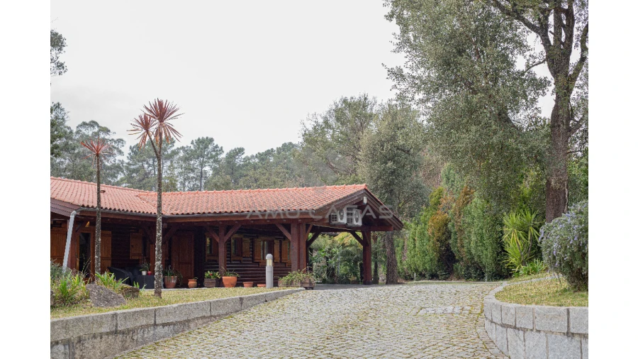 Quinta T11 para Venda em O. Azeméis, Riba-Ul, Ul, Macinhata Seixa, Madail Foto 3