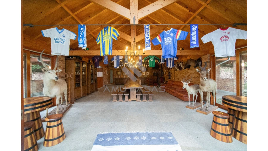 Quinta T11 para Venda em O. Azeméis, Riba-Ul, Ul, Macinhata Seixa, Madail Foto 48