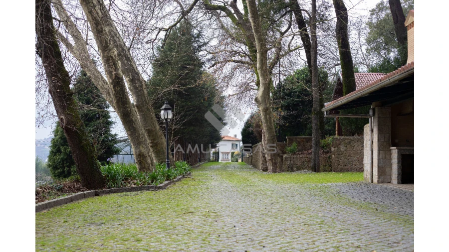 Quinta T11 para Venda em O. Azeméis, Riba-Ul, Ul, Macinhata Seixa, Madail Foto 44