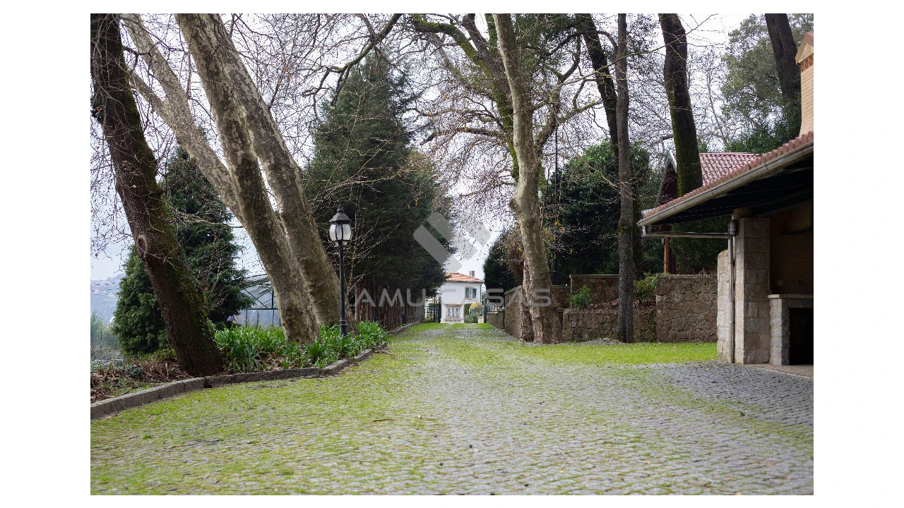 Quinta T11 para Venda em O. Azeméis, Riba-Ul, Ul, Macinhata Seixa, Madail Foto 44