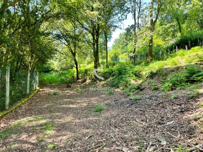 Quinta T5 para Venda em Portela Foto 43