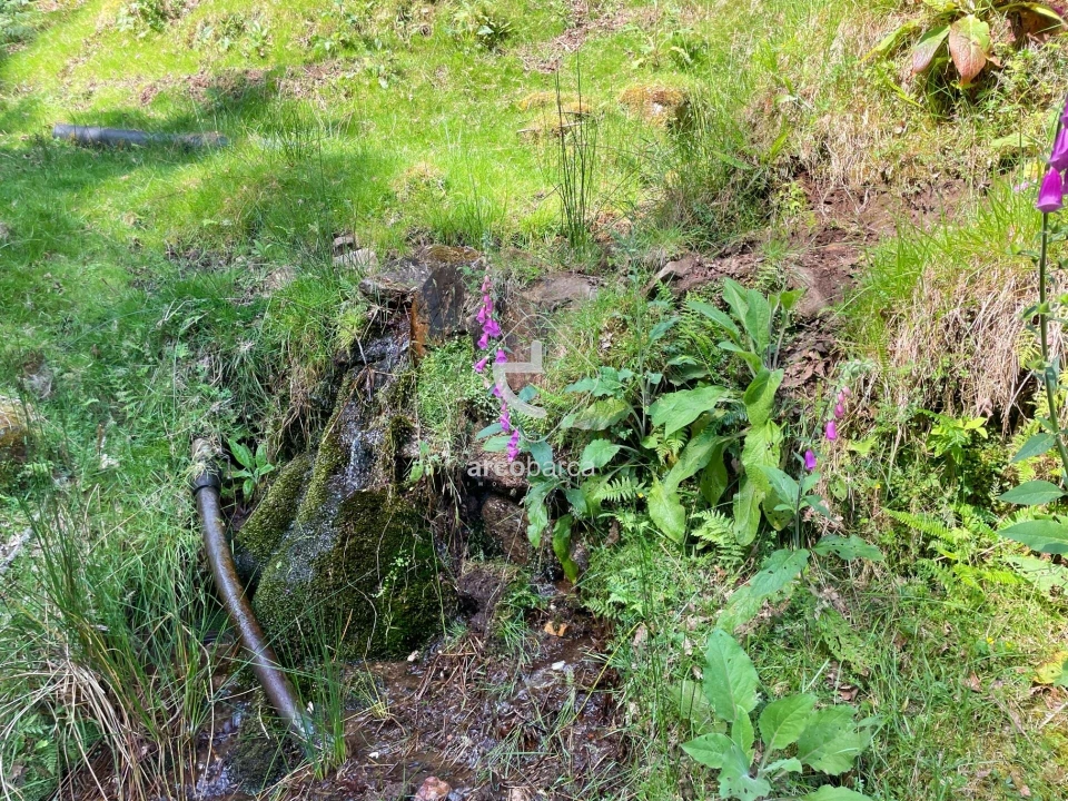 Quinta T5 para Venda em Portela Foto 42