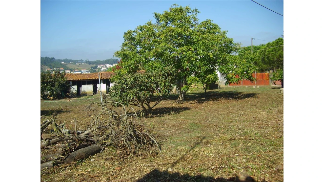 Quinta para Venda em Leiria, Pousos, Barreira e Cortes Foto 4
