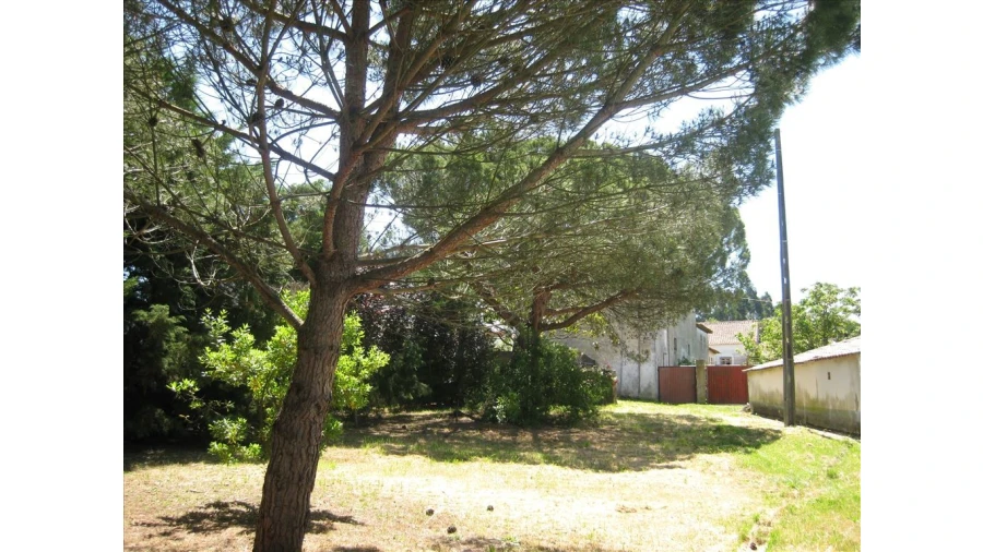 Quinta para Venda em Leiria, Pousos, Barreira e Cortes Foto 2