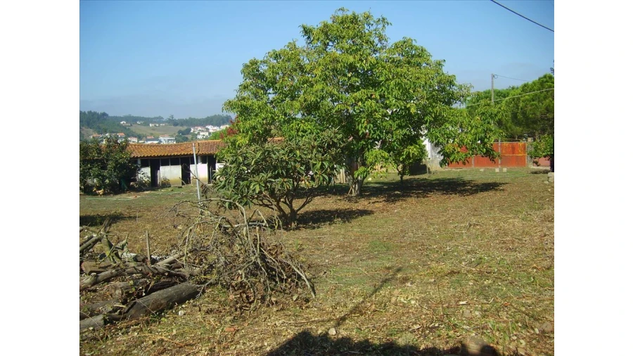 Quinta para Venda em Leiria, Pousos, Barreira e Cortes Foto 4