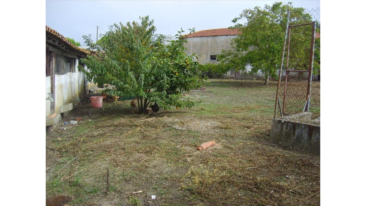 Quinta para Venda em Leiria, Pousos, Barreira e Cortes Foto 1