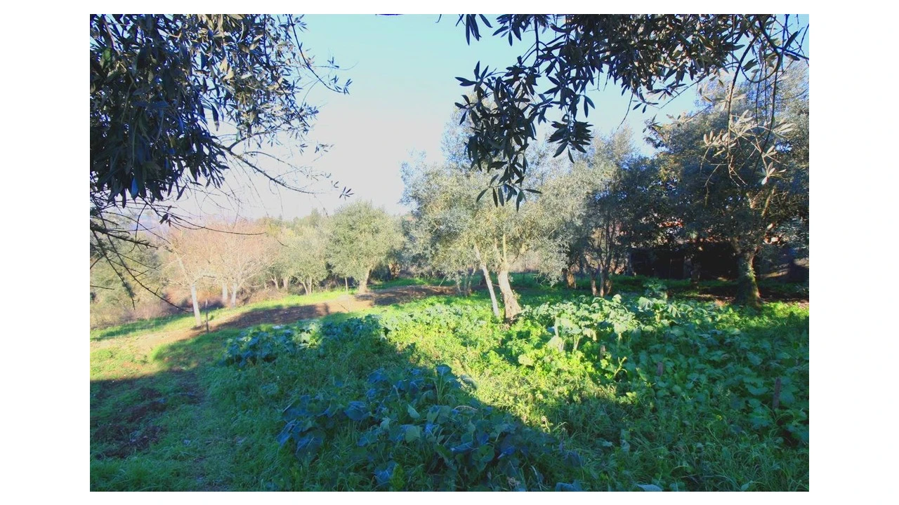 Moradia T3 para Venda em Friúmes e Paradela Foto 3