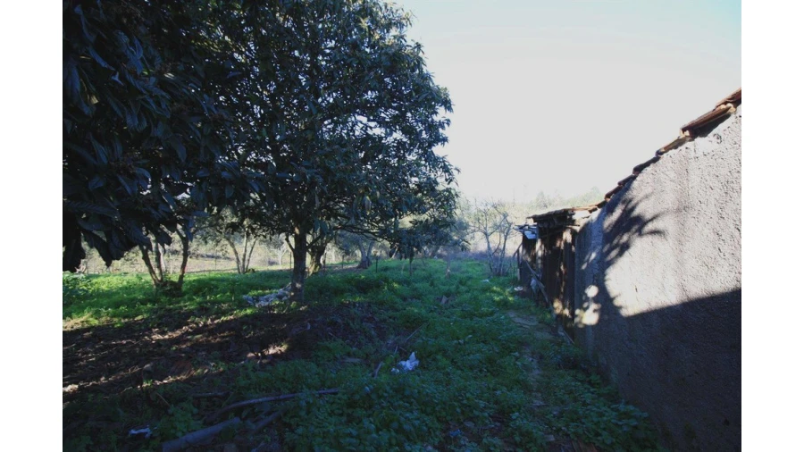 Moradia T3 para Venda em Friúmes e Paradela Foto 9