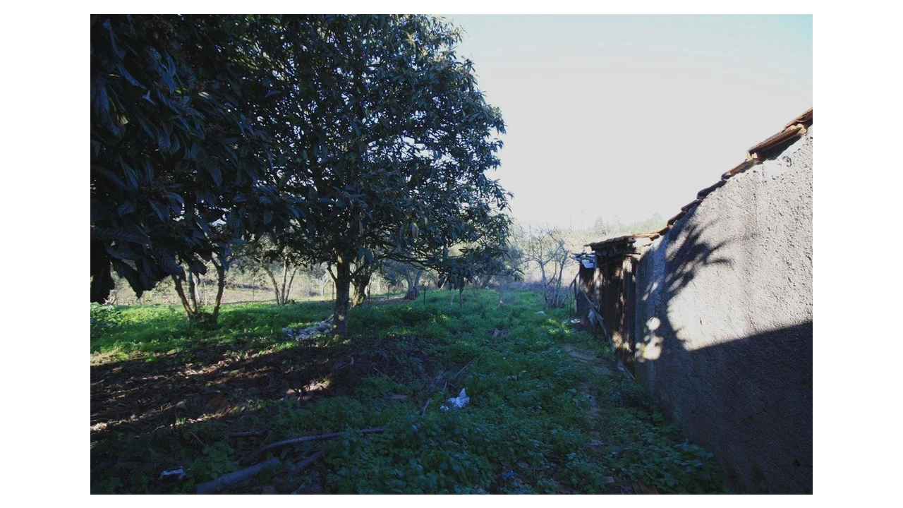 Moradia T3 para Venda em Friúmes e Paradela Foto 9