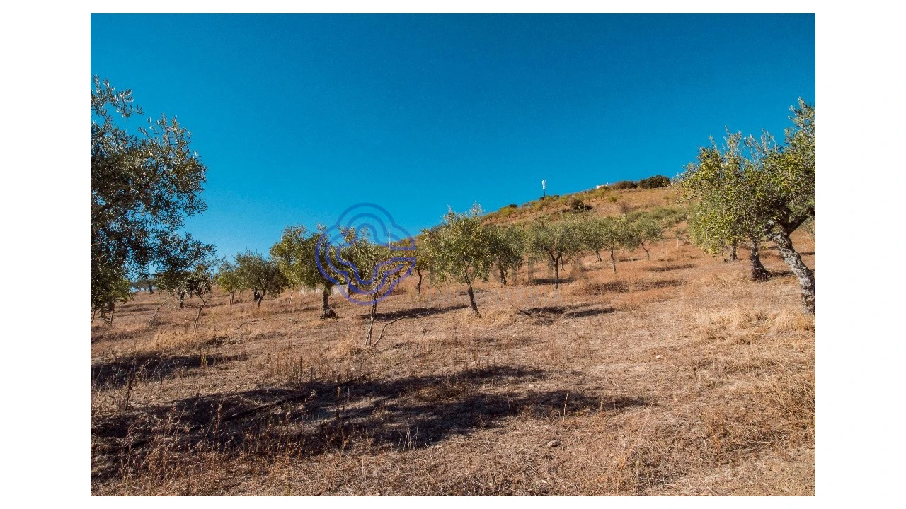 Quinta T5 para Venda em Meirinhos Foto 55