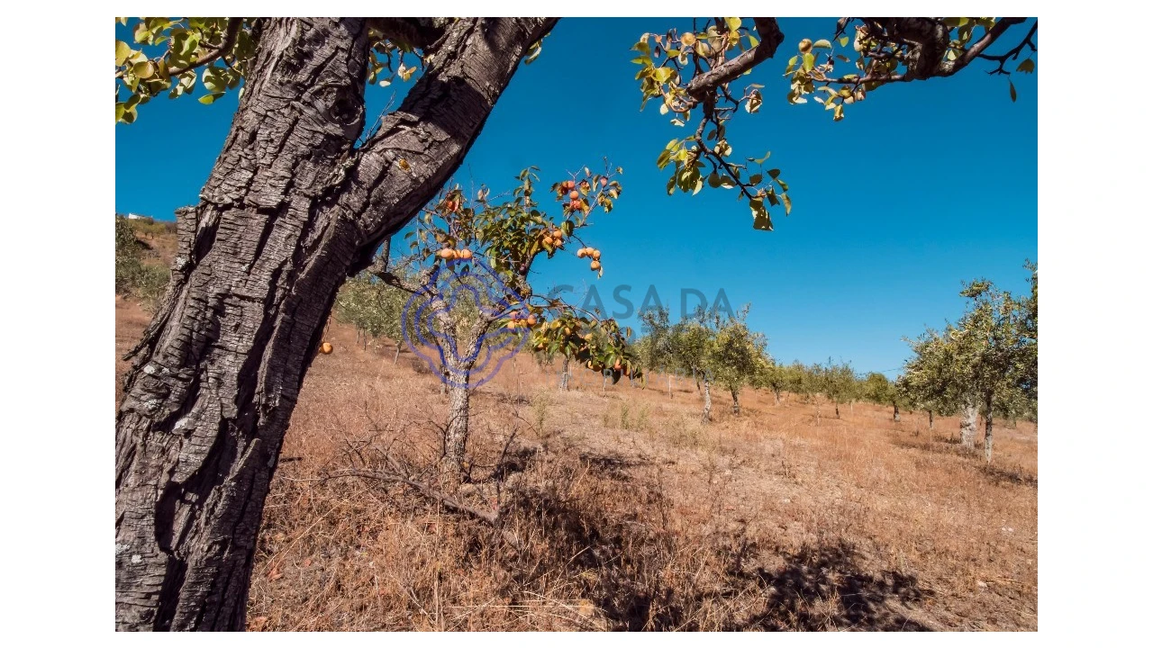 Quinta T5 para Venda em Meirinhos Foto 57