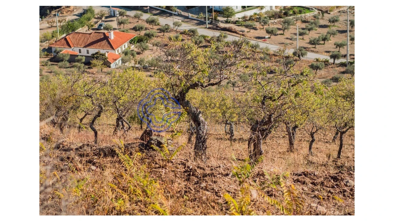 Quinta T5 para Venda em Meirinhos Foto 64