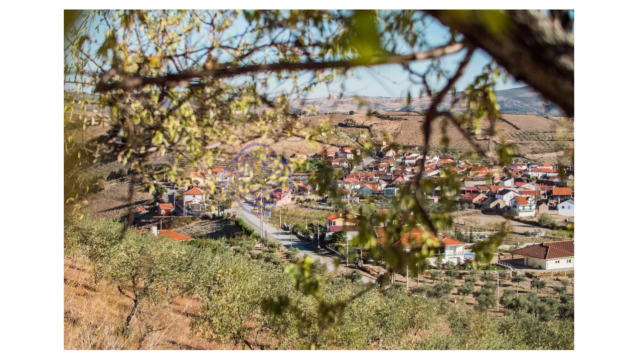 Quinta T5 para Venda em Meirinhos Foto 65