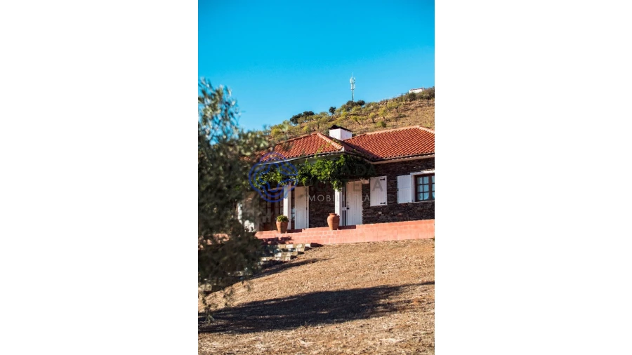 Quinta T5 para Venda em Meirinhos Foto 72