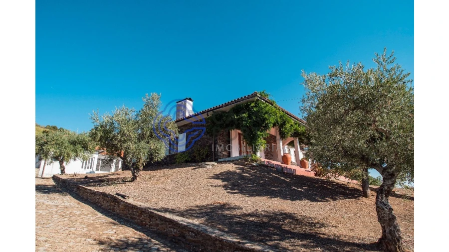 Quinta T5 para Venda em Meirinhos Foto 5