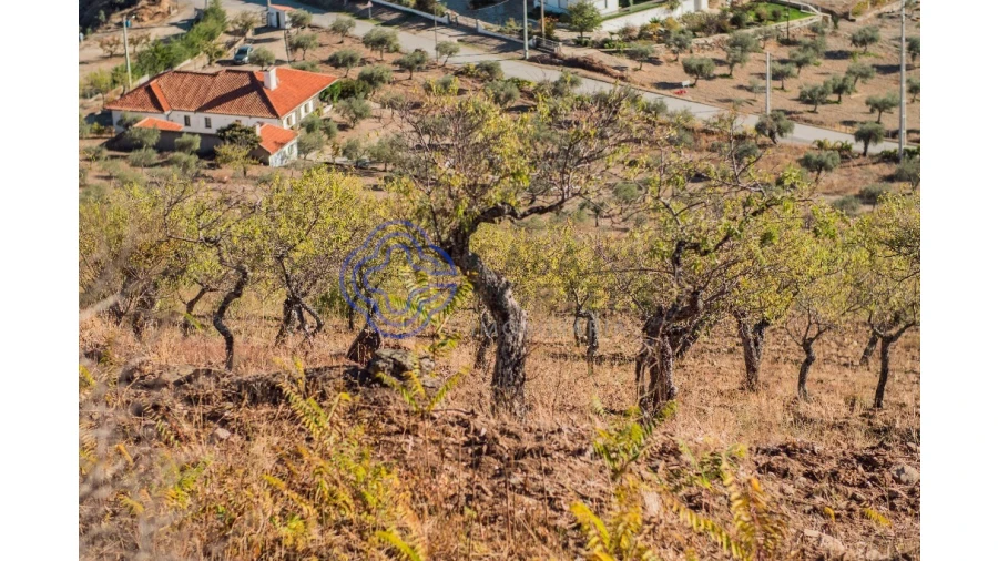 Quinta T5 para Venda em Meirinhos Foto 64
