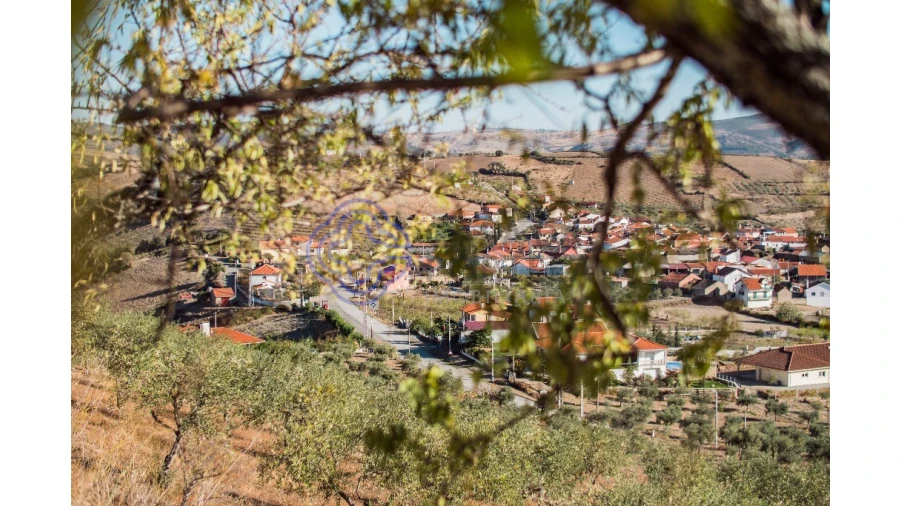 Quinta T5 para Venda em Meirinhos Foto 65