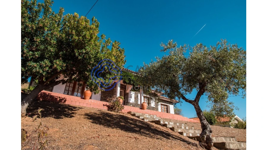 Quinta T5 para Venda em Meirinhos Foto 4