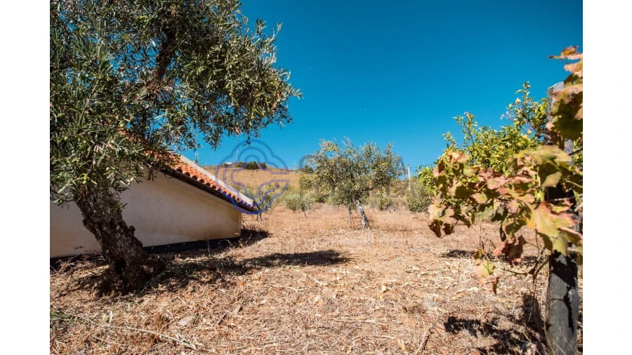 Quinta T5 para Venda em Meirinhos Foto 45