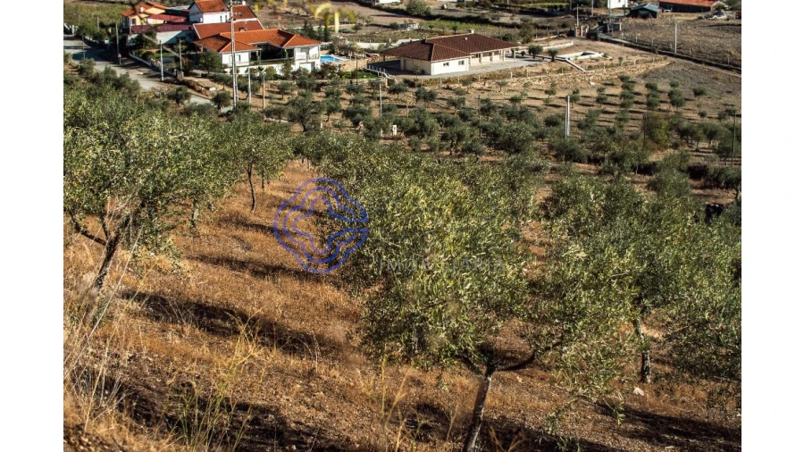 Quinta T5 para Venda em Meirinhos Foto 67
