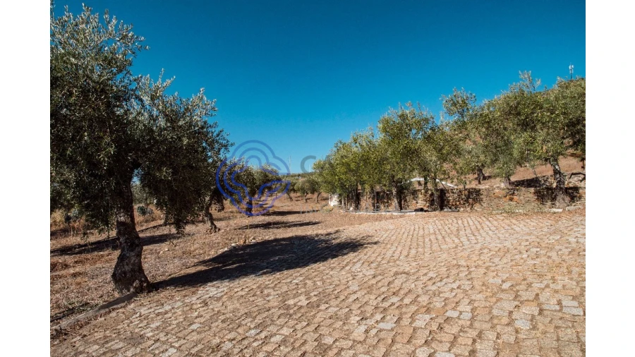 Quinta T5 para Venda em Meirinhos Foto 6