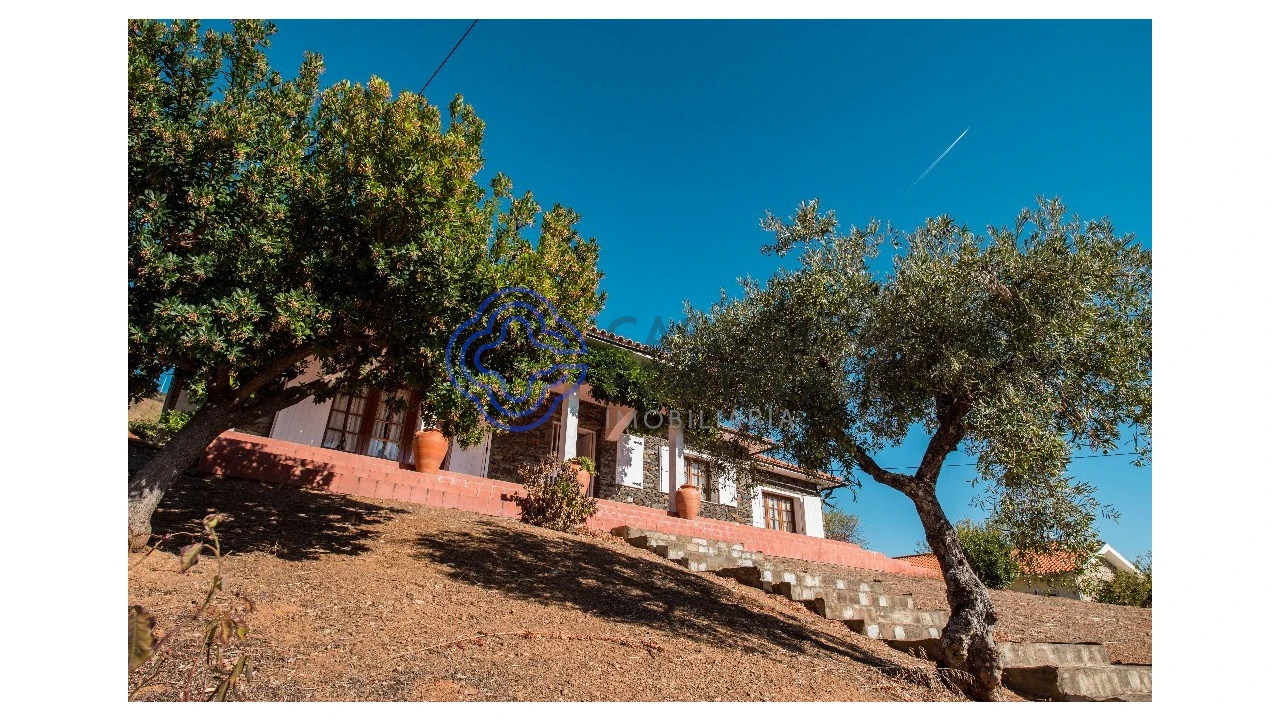 Quinta T5 para Venda em Meirinhos Foto 4