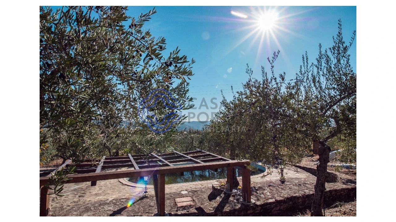 Quinta T5 para Venda em Meirinhos Foto 60