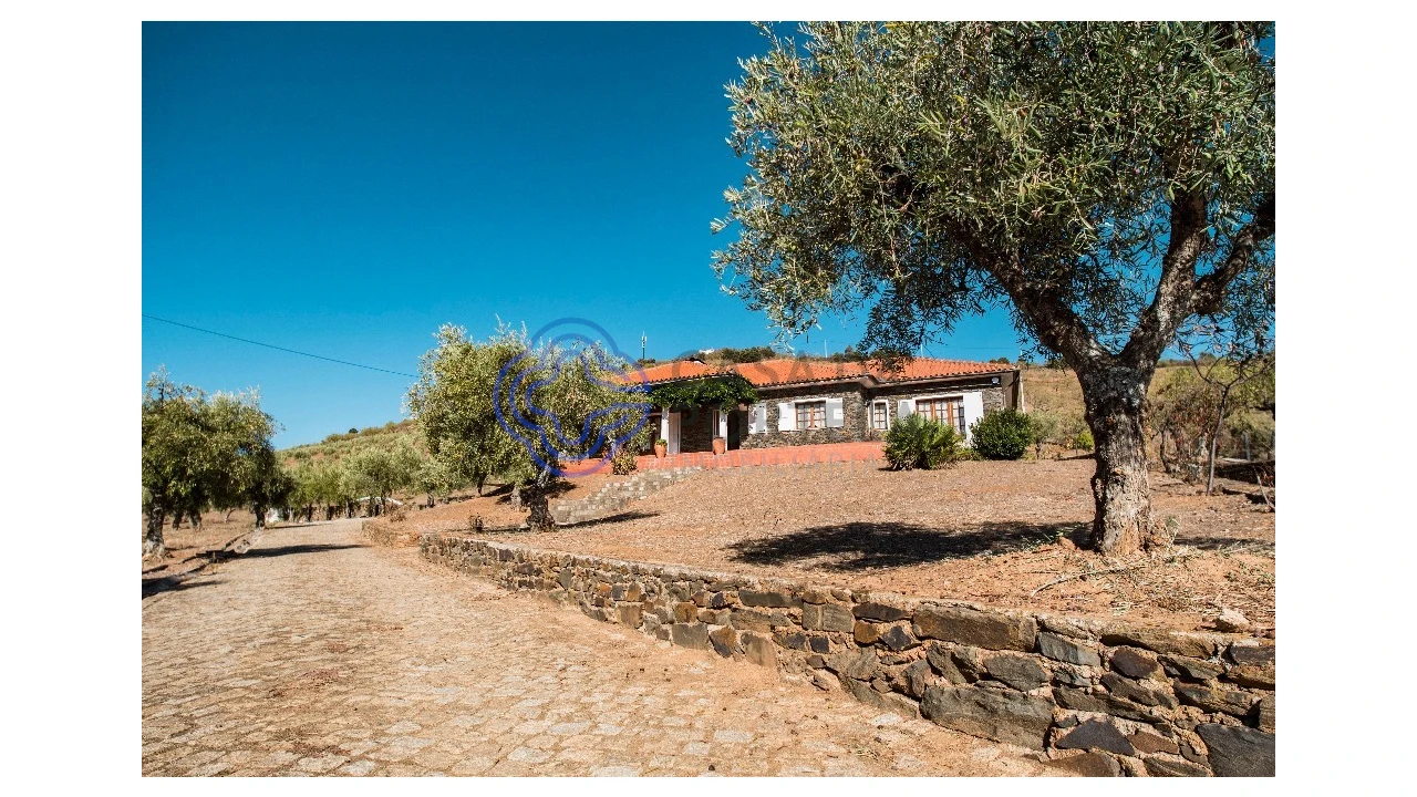 Quinta T5 para Venda em Meirinhos Foto 1