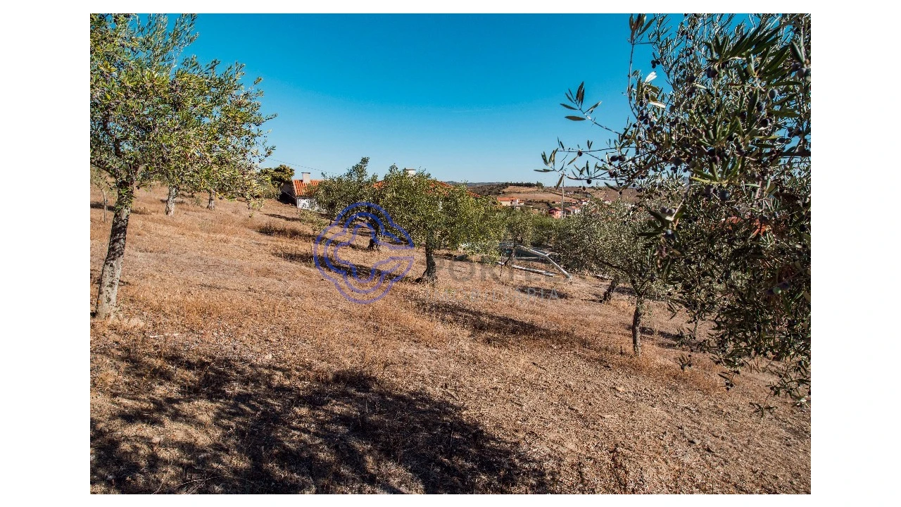 Quinta T5 para Venda em Meirinhos Foto 58