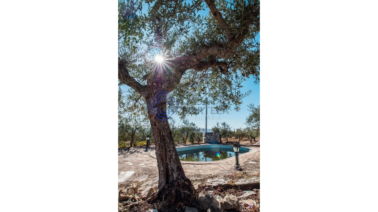 Quinta T5 para Venda em Meirinhos Foto 52