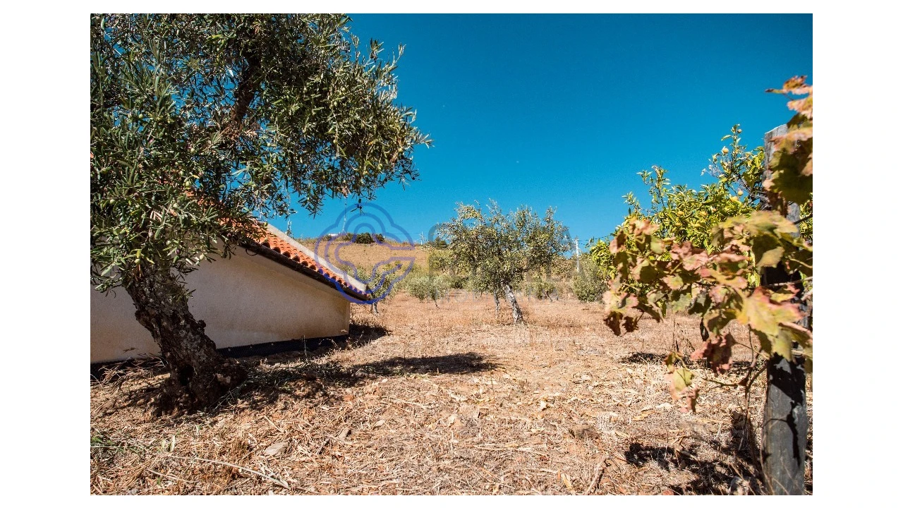 Quinta T5 para Venda em Meirinhos Foto 45