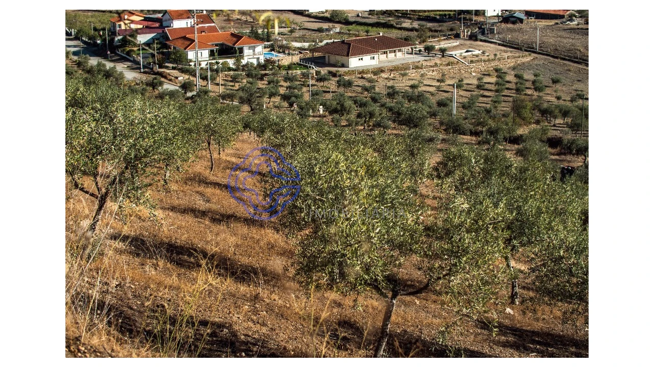 Quinta T5 para Venda em Meirinhos Foto 67