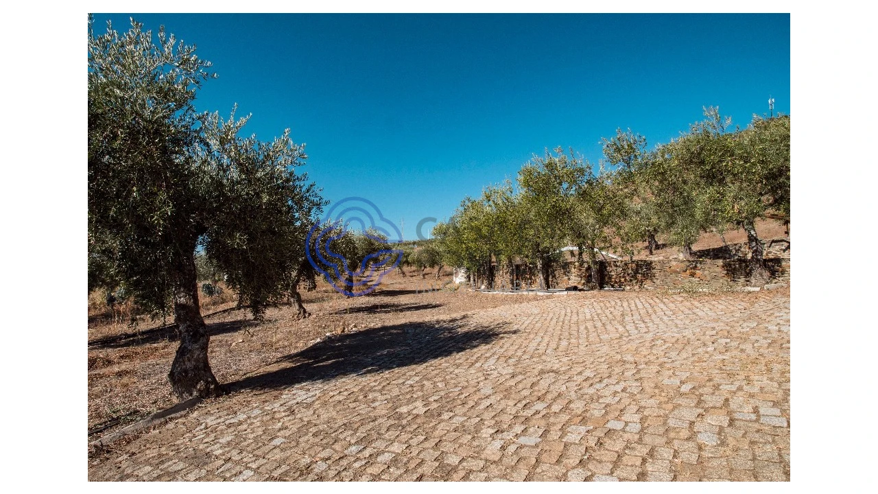 Quinta T5 para Venda em Meirinhos Foto 6