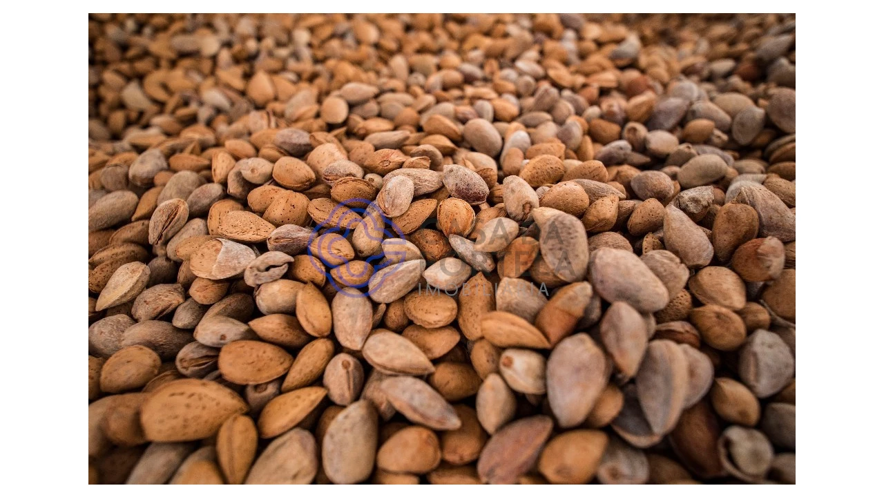 Quinta T5 para Venda em Meirinhos Foto 51