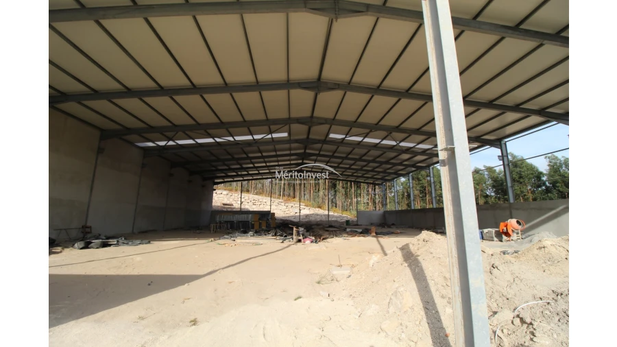 Armazém para Venda em Cruz Foto 8