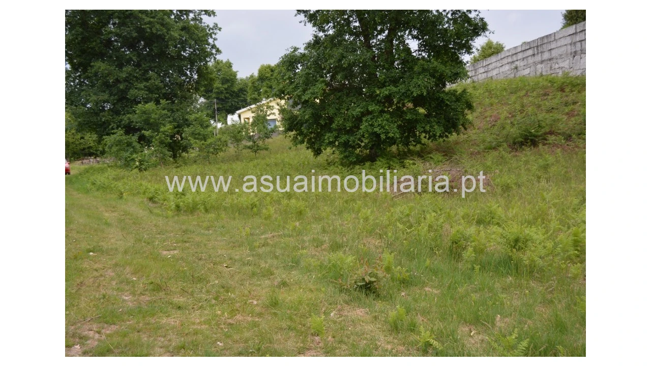Terreno para Venda em Tabuaças Foto 1